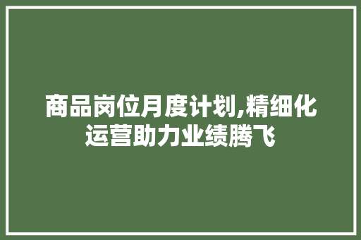 商品岗位月度计划,精细化运营助力业绩腾飞