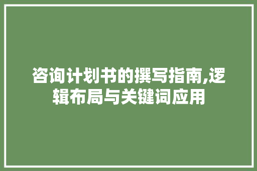 咨询计划书的撰写指南,逻辑布局与关键词应用