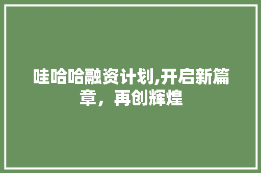 哇哈哈融资计划,开启新篇章，再创辉煌 采访稿