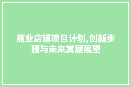 商业店铺项目计划,创新步骤与未来发展展望