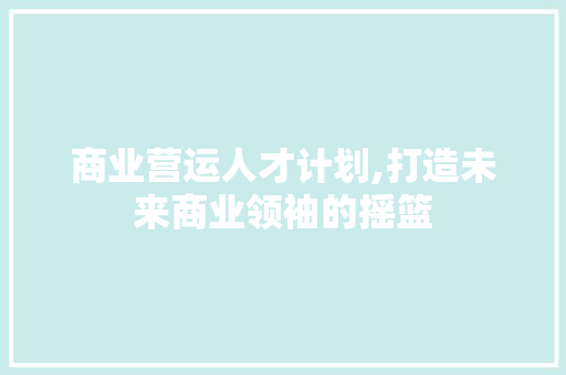 商业营运人才计划,打造未来商业领袖的摇篮