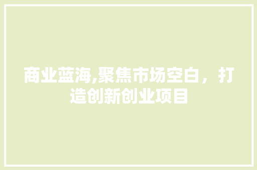 商业蓝海,聚焦市场空白，打造创新创业项目