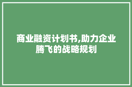 商业融资计划书,助力企业腾飞的战略规划