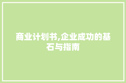 商业计划书,企业成功的基石与指南 特写稿