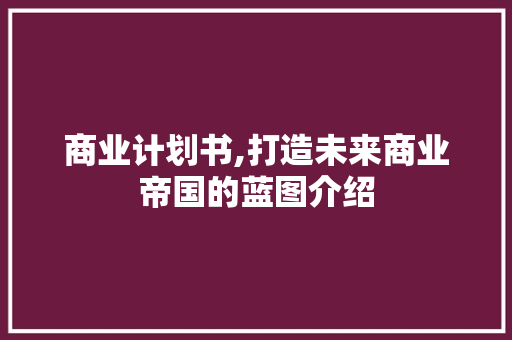 商业计划书,打造未来商业帝国的蓝图介绍