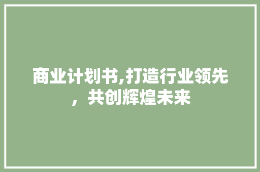 商业计划书,打造行业领先，共创辉煌未来