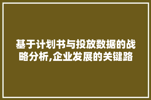 基于计划书与投放数据的战略分析,企业发展的关键路径
