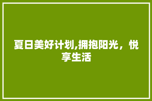 夏日美好计划,拥抱阳光，悦享生活