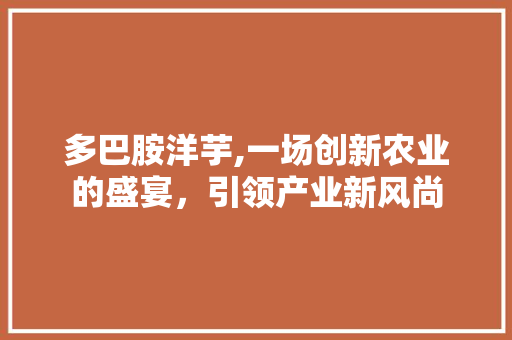 多巴胺洋芋,一场创新农业的盛宴，引领产业新风尚 工作类