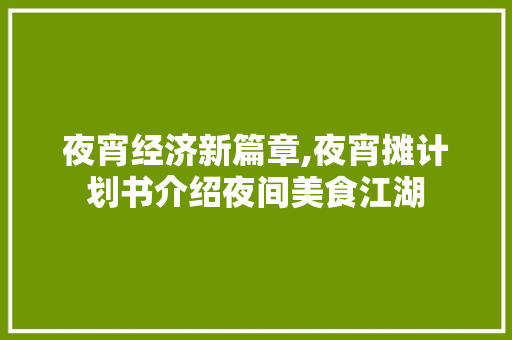 夜宵经济新篇章,夜宵摊计划书介绍夜间美食江湖