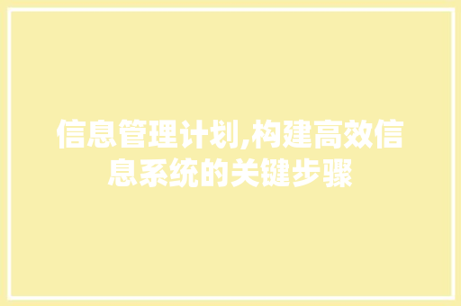 信息管理计划,构建高效信息系统的关键步骤