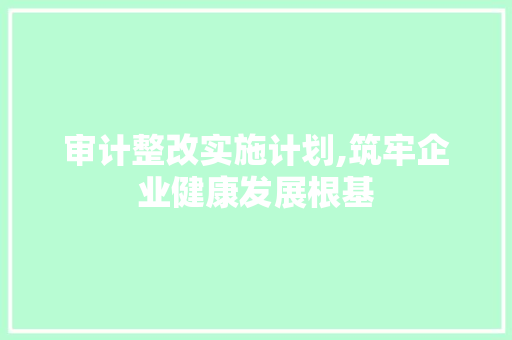 审计整改实施计划,筑牢企业健康发展根基