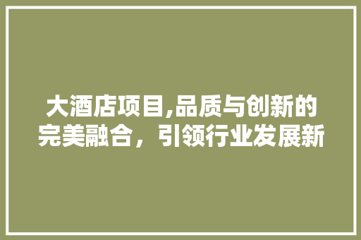 大酒店项目,品质与创新的完美融合，引领行业发展新趋势