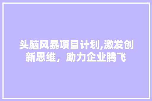 头脑风暴项目计划,激发创新思维，助力企业腾飞