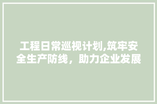 工程日常巡视计划,筑牢安全生产防线，助力企业发展