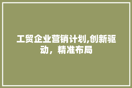 工贸企业营销计划,创新驱动，精准布局
