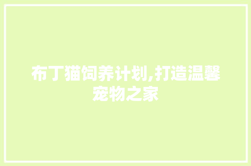 布丁猫饲养计划,打造温馨宠物之家
