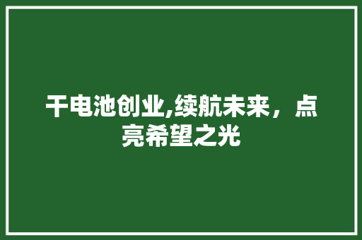 干电池创业,续航未来，点亮希望之光