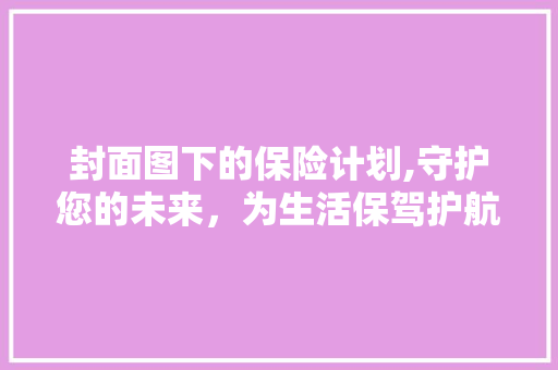 封面图下的保险计划,守护您的未来，为生活保驾护航