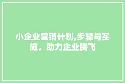 小企业营销计划,步骤与实施，助力企业腾飞 生活类