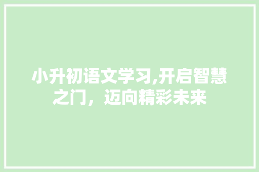 小升初语文学习,开启智慧之门，迈向精彩未来