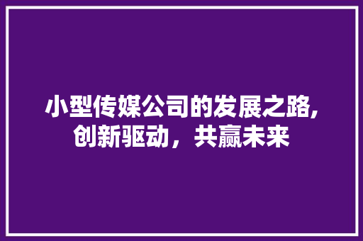 小型传媒公司的发展之路,创新驱动，共赢未来