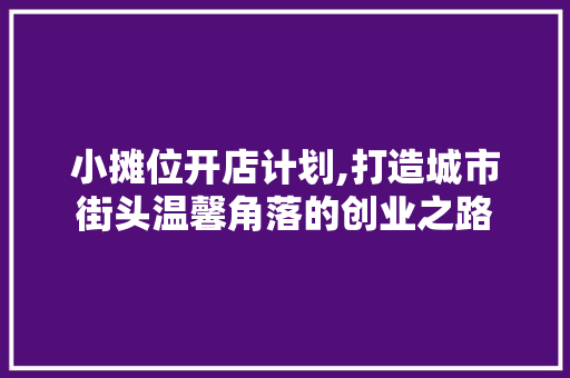 小摊位开店计划,打造城市街头温馨角落的创业之路