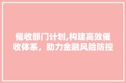 催收部门计划,构建高效催收体系，助力金融风险防控