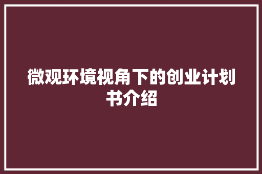 微观环境视角下的创业计划书介绍