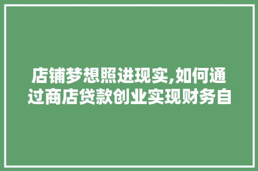 店铺梦想照进现实,如何通过商店贷款创业实现财务自由