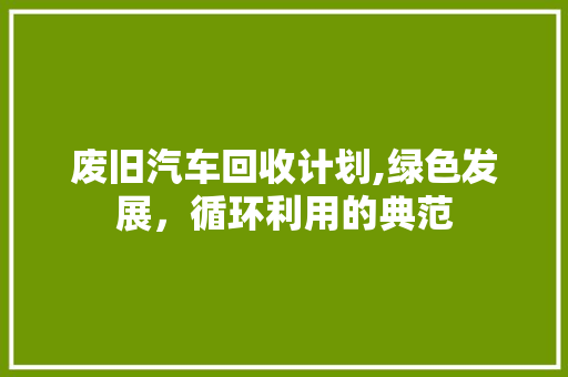废旧汽车回收计划,绿色发展，循环利用的典范