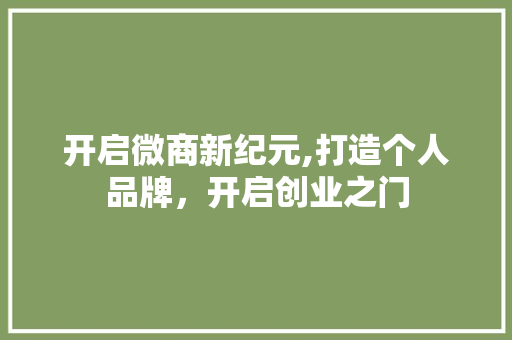 开启微商新纪元,打造个人品牌，开启创业之门