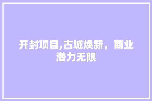 开封项目,古城焕新，商业潜力无限