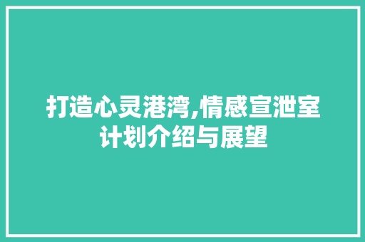 打造心灵港湾,情感宣泄室计划介绍与展望