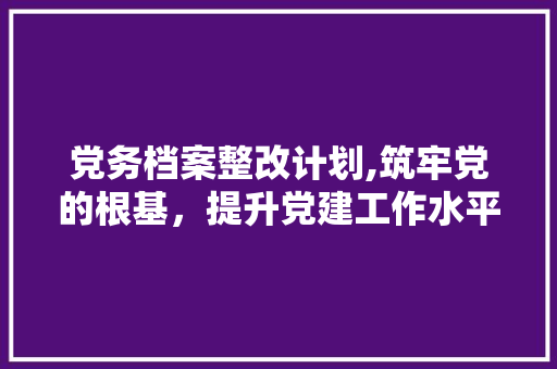 党务档案整改计划,筑牢党的根基，提升党建工作水平