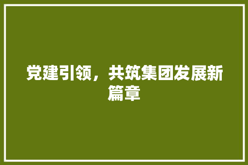 党建引领，共筑集团发展新篇章