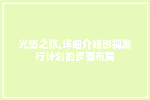 光影之旅,详细介绍影视发行计划的步骤布局