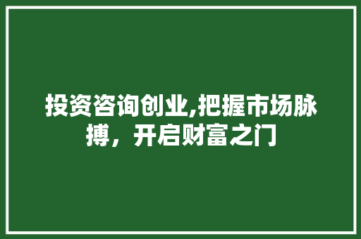 投资咨询创业,把握市场脉搏，开启财富之门