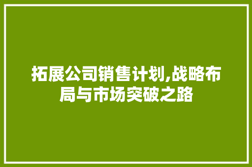 拓展公司销售计划,战略布局与市场突破之路