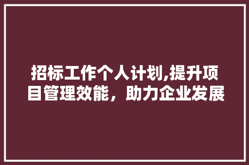 招标工作个人计划,提升项目管理效能，助力企业发展