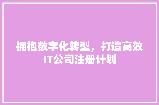 拥抱数字化转型，打造高效IT公司注册计划