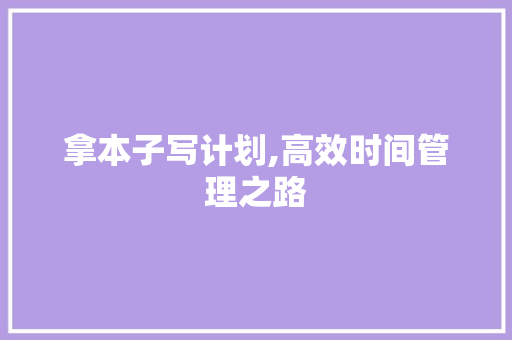 拿本子写计划,高效时间管理之路 生活随笔