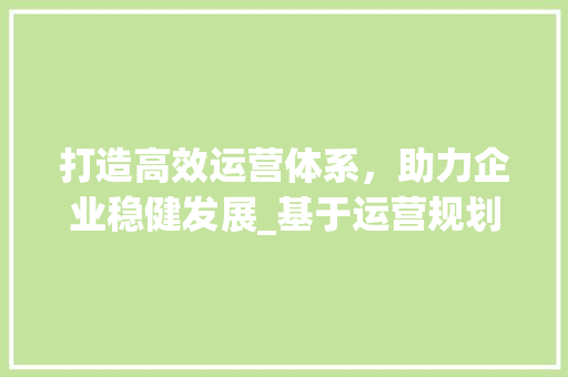 打造高效运营体系，助力企业稳健发展_基于运营规划实施计划的详细讨论