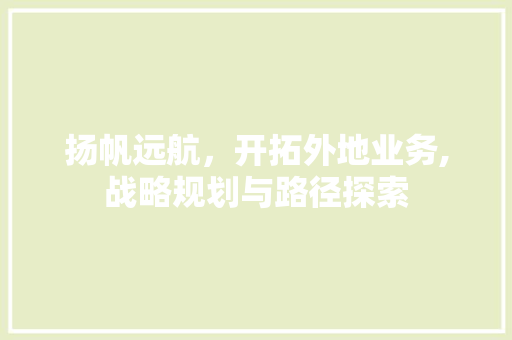 扬帆远航，开拓外地业务,战略规划与路径探索 工作报告