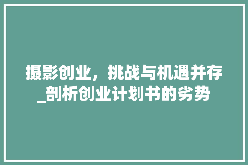 摄影创业，挑战与机遇并存_剖析创业计划书的劣势