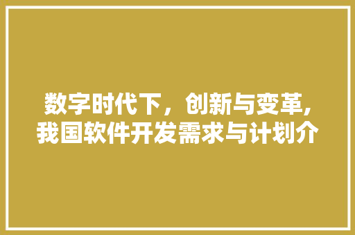 数字时代下，创新与变革,我国软件开发需求与计划介绍