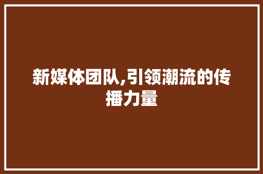 新媒体团队,引领潮流的传播力量