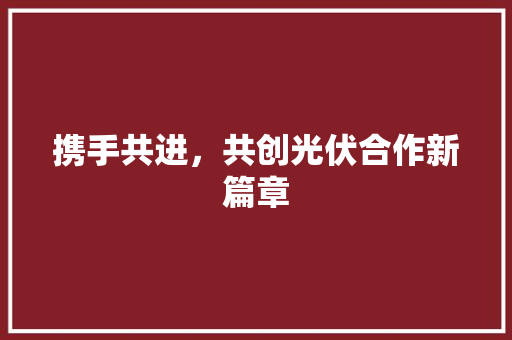 携手共进，共创光伏合作新篇章