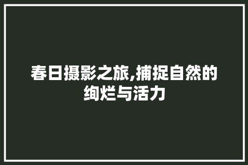 春日摄影之旅,捕捉自然的绚烂与活力
