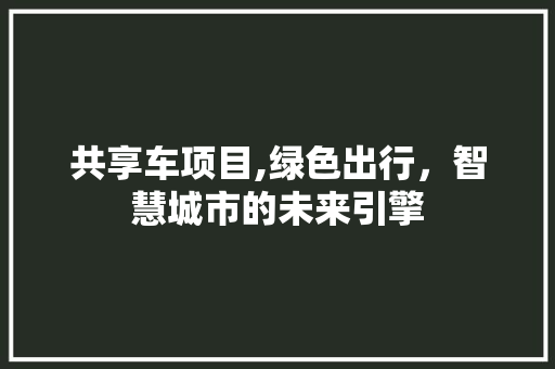 共享车项目,绿色出行，智慧城市的未来引擎